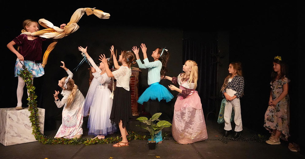 A SoDA original production of Frog Rabbit on the intimate Indoor Forest Theatre stage