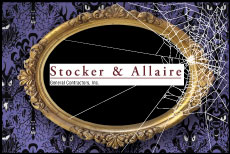 Stocker & Allaire Construction, Starry Starry Night Scary Edition 2025 sponsor